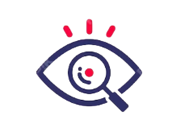 Our Vision Icon